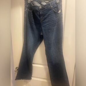 TORRID Denim Slim Boot Jeans 22R